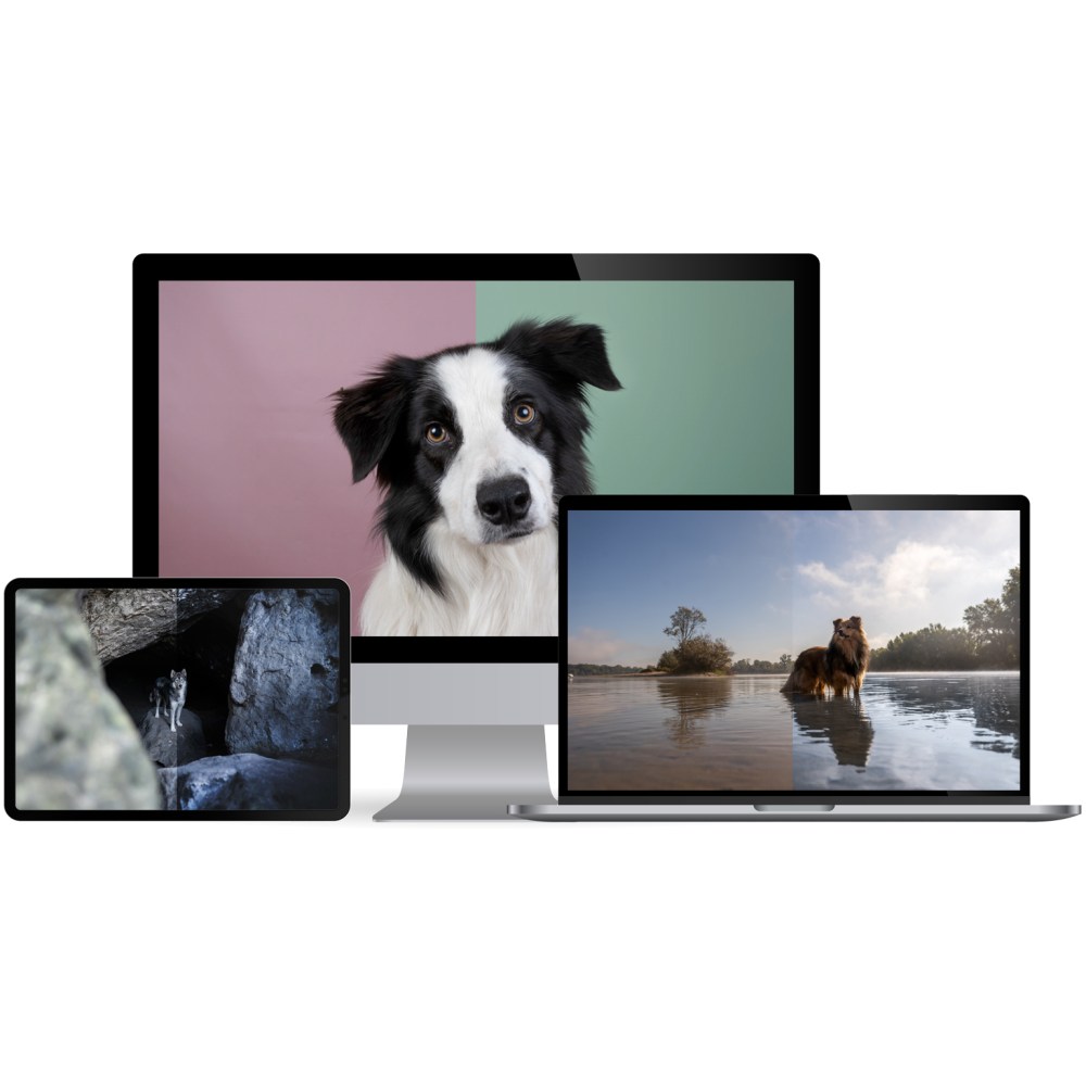 3 Specials Deiner Wahl