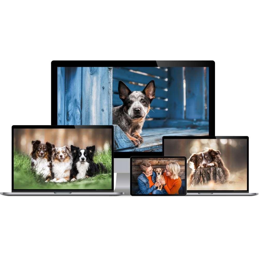 Bestseller Bundle + Family