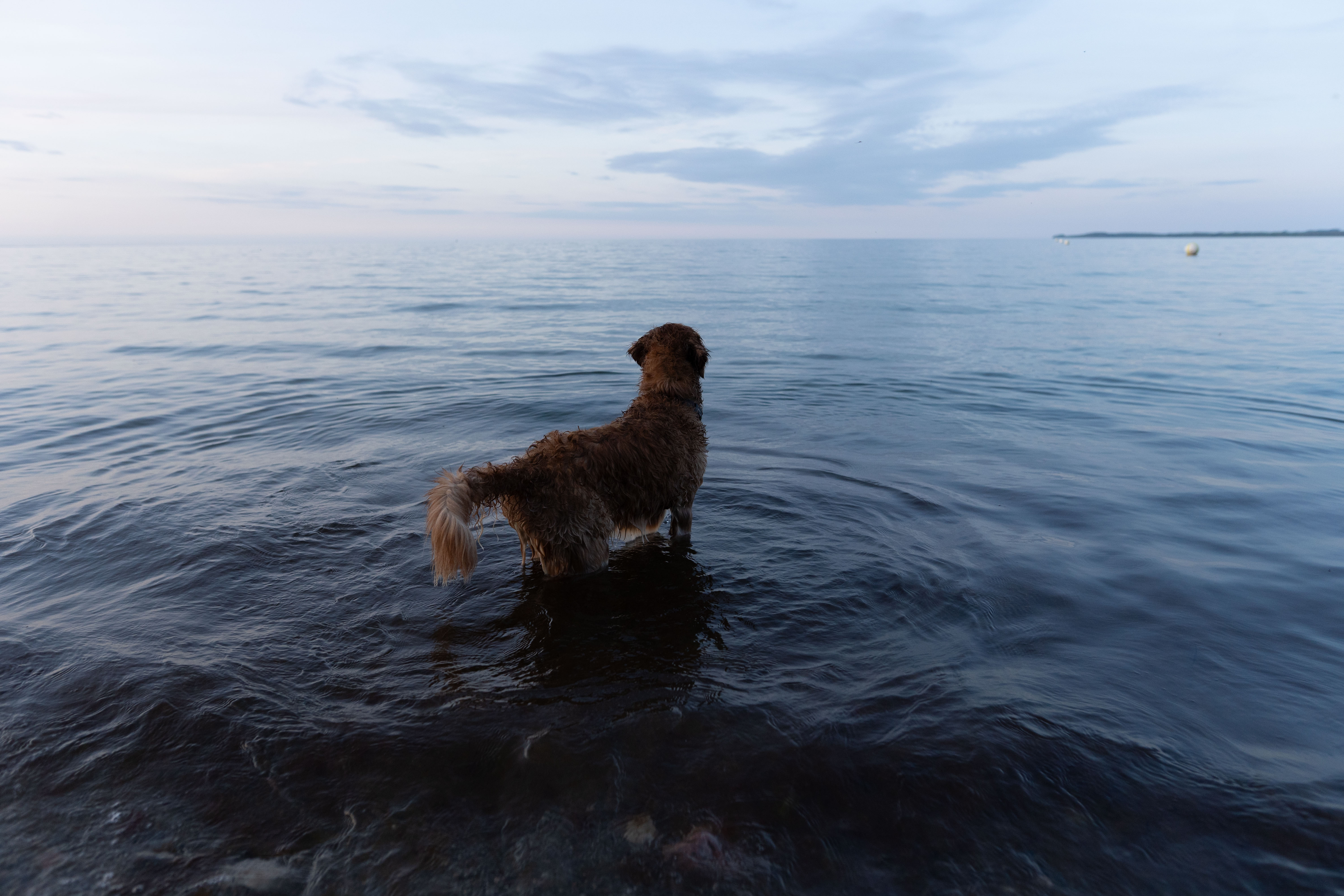 Sonnenuntergang ausarbeiten