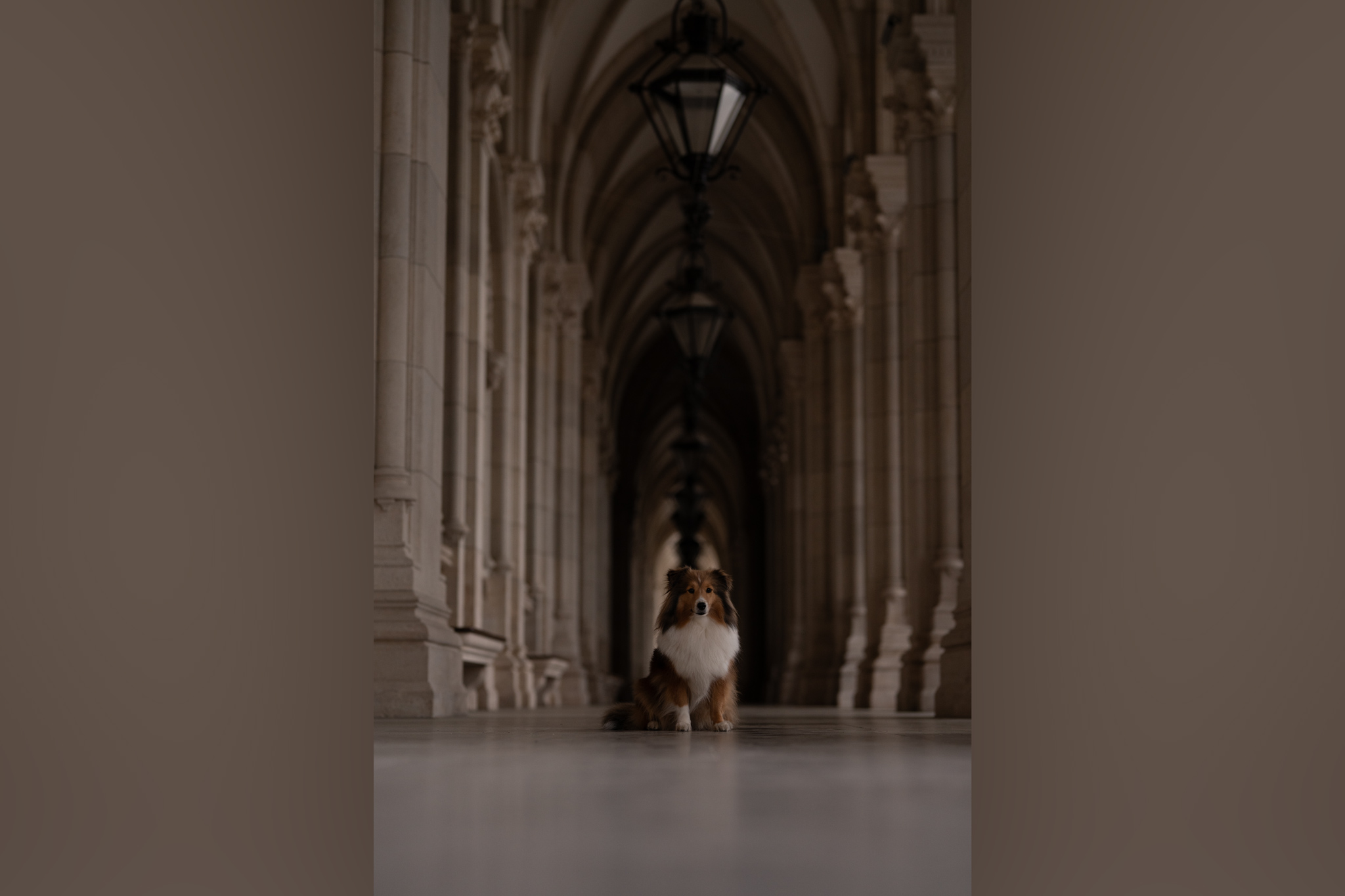 Spiegelung-künstlich