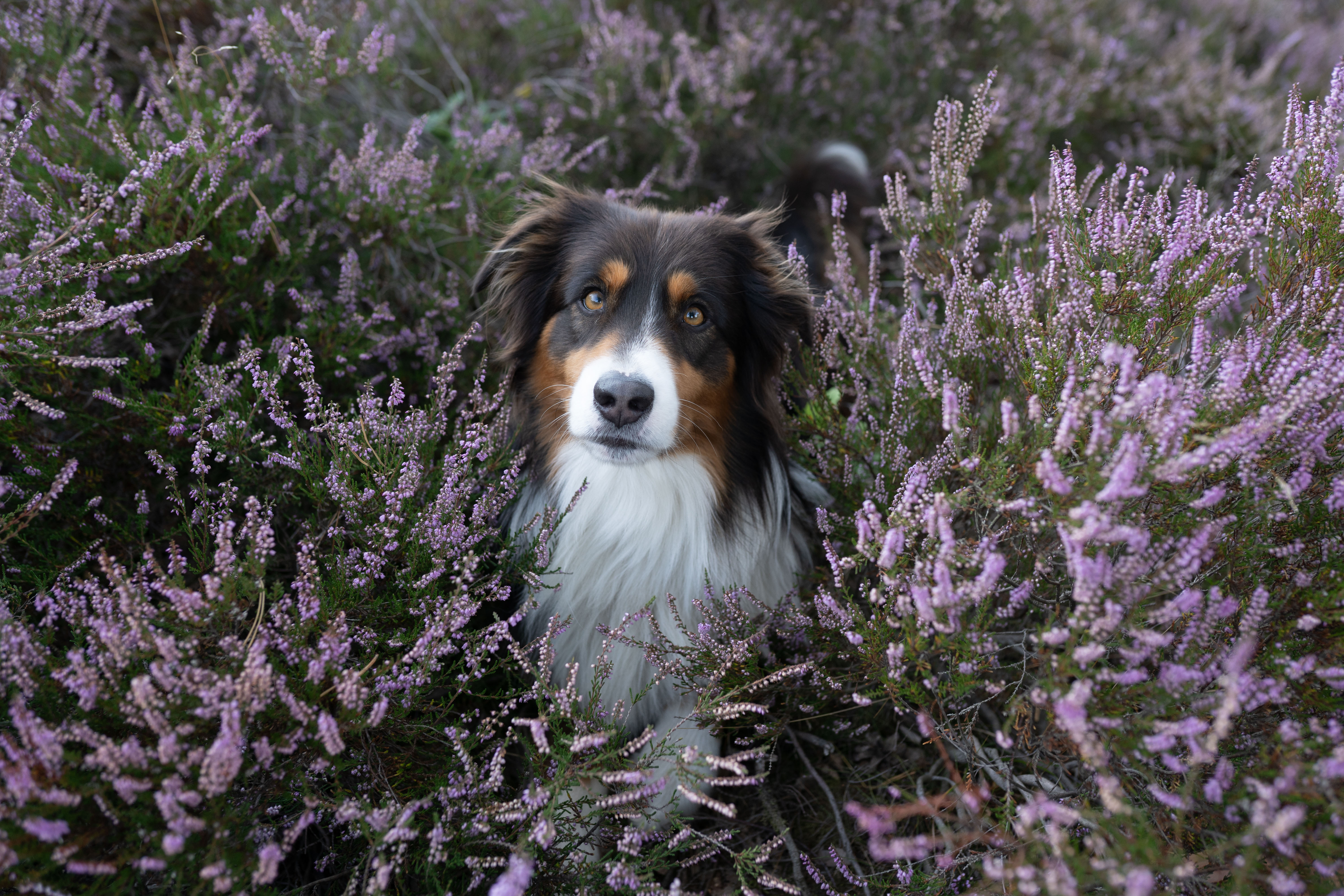 Strukturen & Details Natur