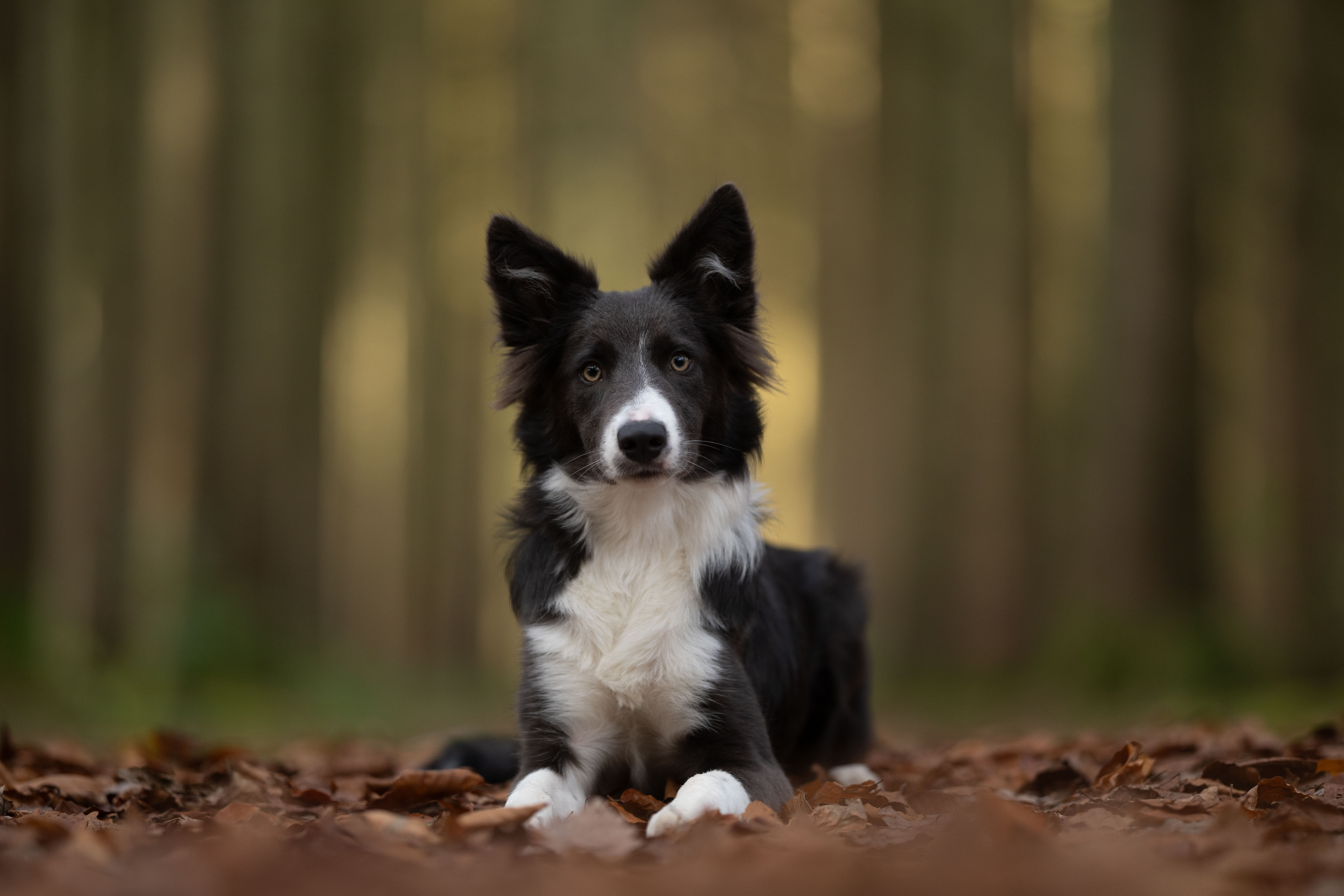 Vorhandene Lichter verstärken 1